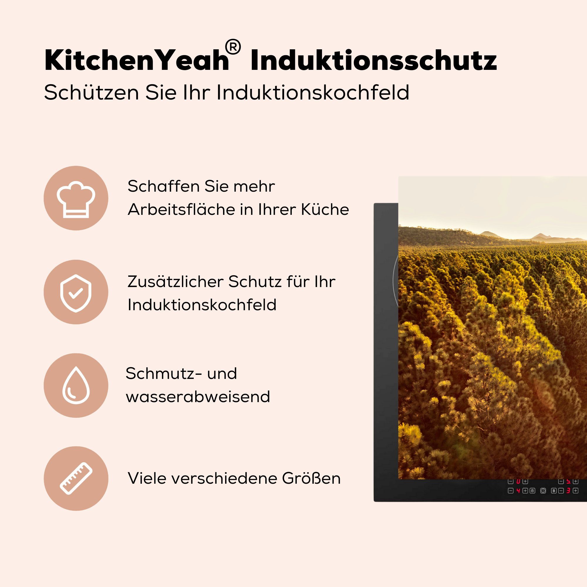 - Ceranfeldabdeckung, für - tlg), - Straße cm, Herdblende-/Abdeckplatte Wald Arbeitsplatte Sand (1 küche Sonne, MuchoWow Vinyl, 83x51