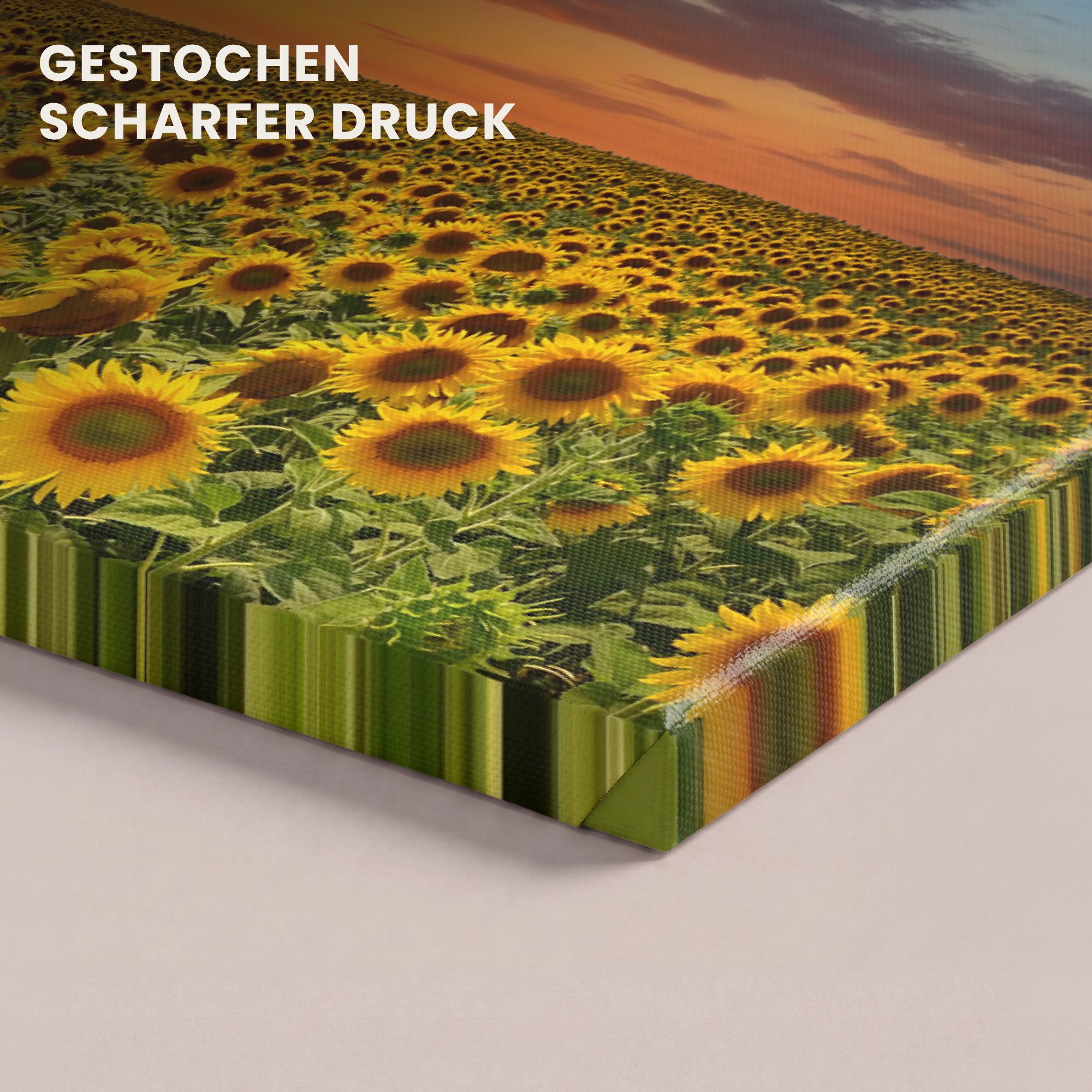 OneMillionCanvasses® Leinwandbild Panorama Blumen – Sonnenblume – Sonnenuntergang – Nacht – Orange, Fotodruck (1 St), Wandbild, Deko Schlafzimmer Wohnzimmer Flu – Bild 3 von 5