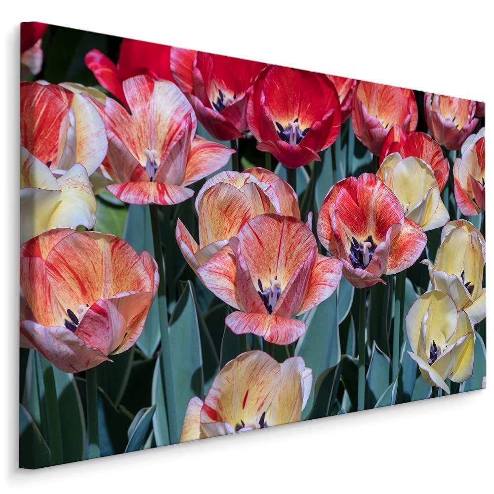 Muralo Leinwandbild Landschaft – Leinwandbild Wandbild Kunstdruck Wohnzimmer, Gewässer (1 St), Natur – Pflanzen – Blumen, 30 x 20 cm, aufhängefertig