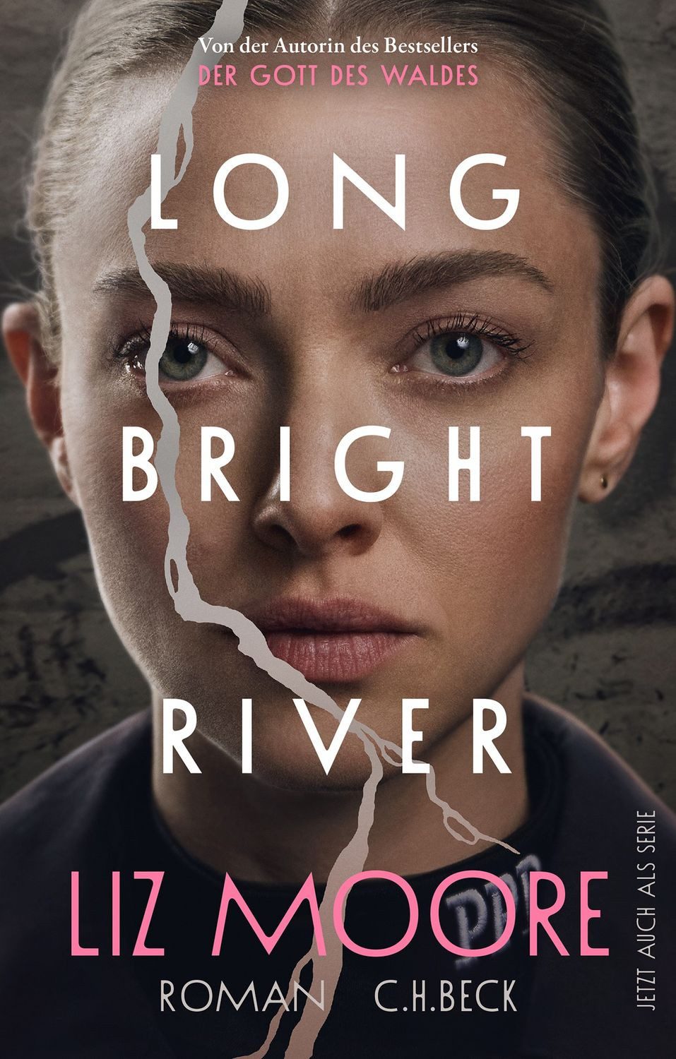 Belletristik Long Bright River Roman Liz Moore