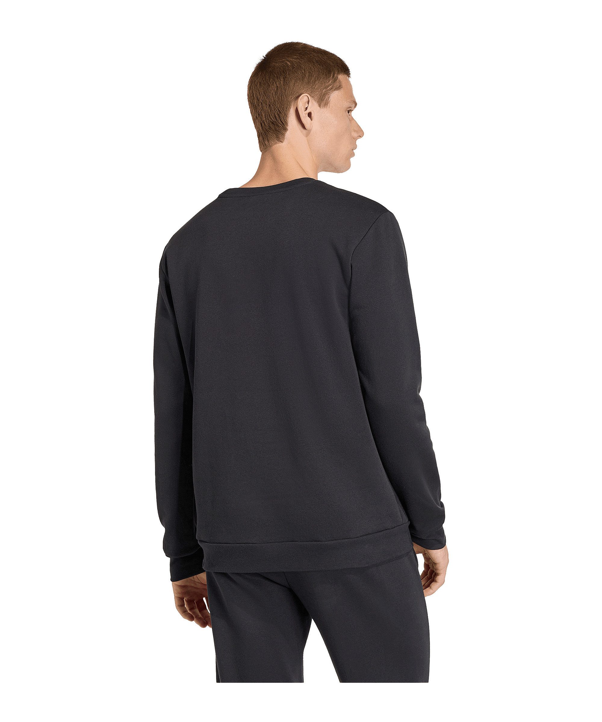 adidas Performance Sweatshirt adidas Performance Entrada 26 Sweatshirt Herr günstig online kaufen