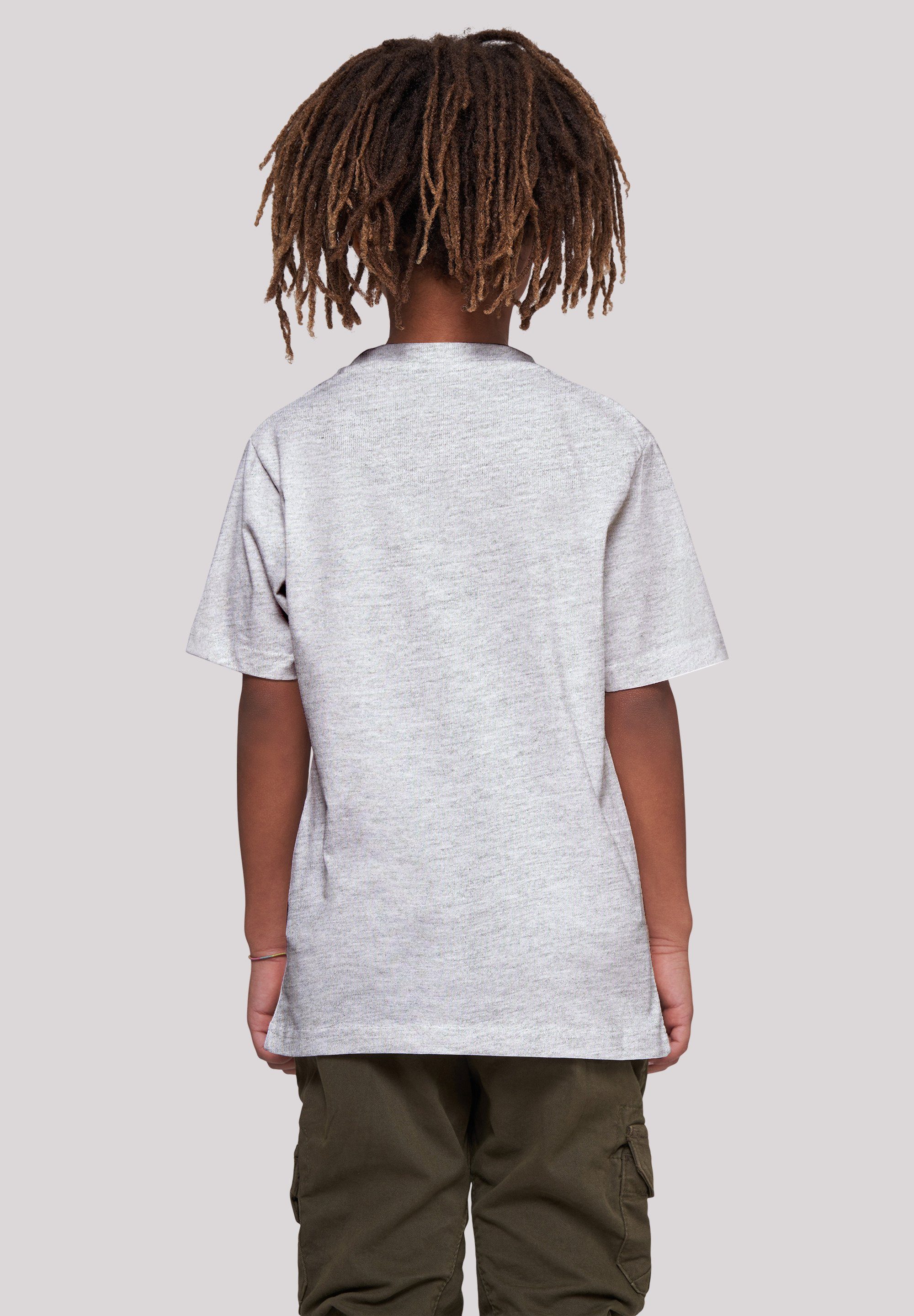 F4NT4STIC heather T-Shirt Snowboarder Print grey