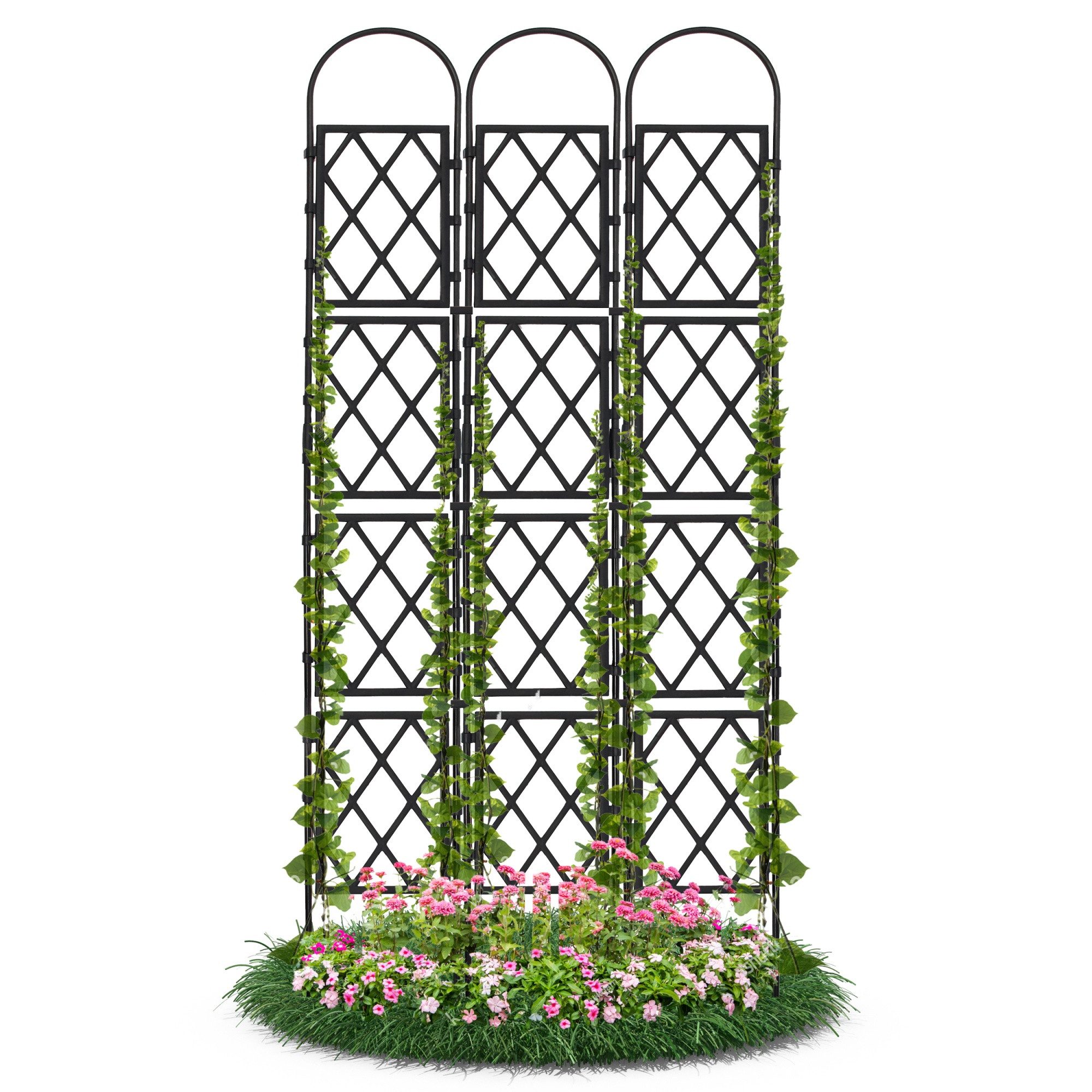 Gartenwelt Riegelsberger Rankhilfe Wandspalier mit Bogen günstig online kaufen