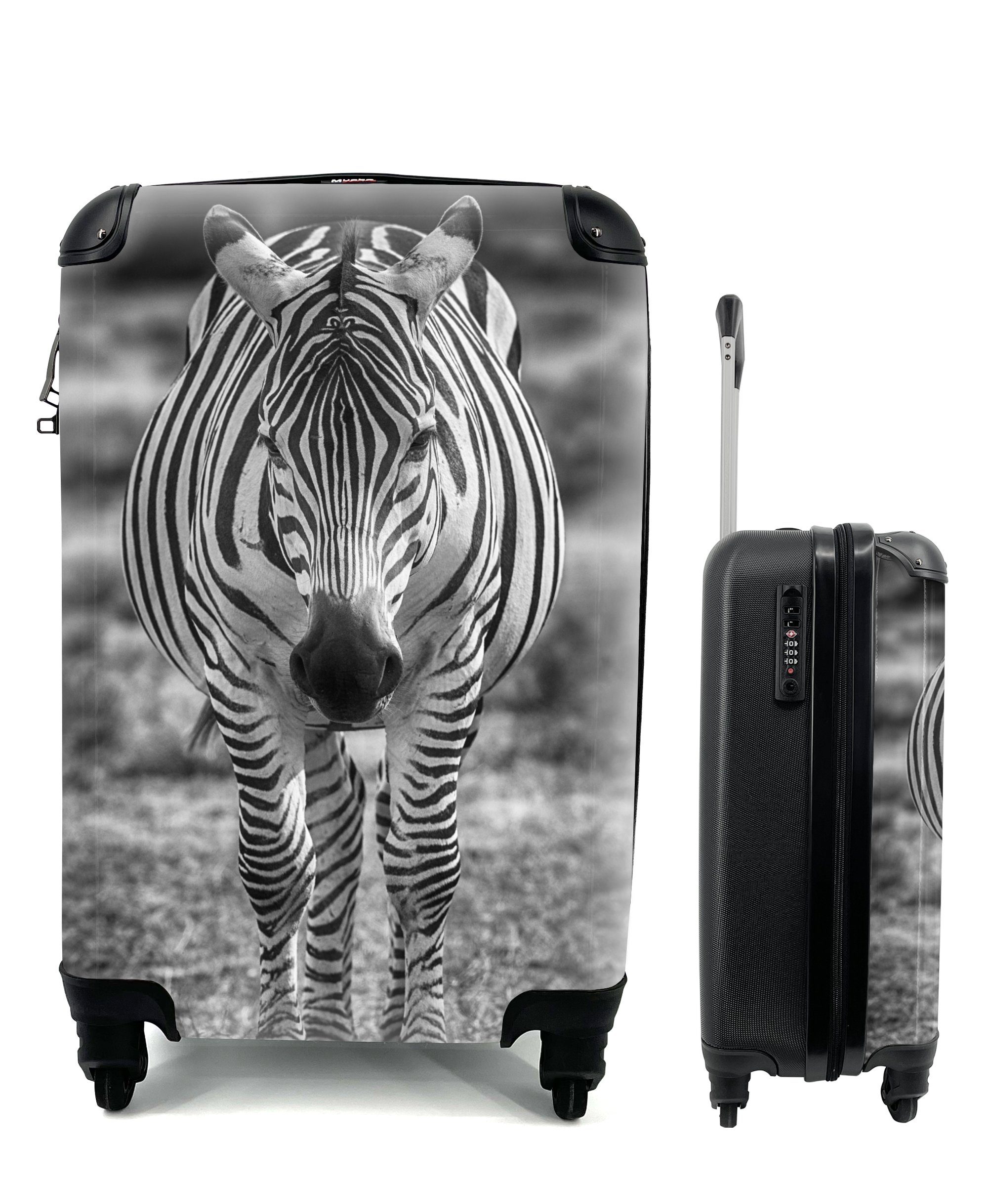 für Trolley, Rollen, im rollen, Gras, Reisetasche Handgepäck mit Reisekoffer MuchoWow 4 Handgepäckkoffer Zebra Ferien,