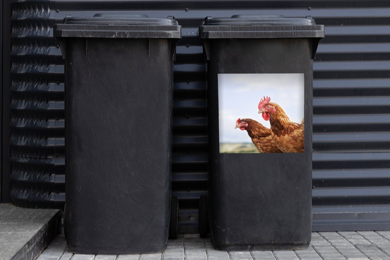 Wandsticker Sticker, von Mülleimer-aufkleber, Abfalbehälter zwei MuchoWow Mülltonne, Nahaufnahme Hühnern (1 St), Container,