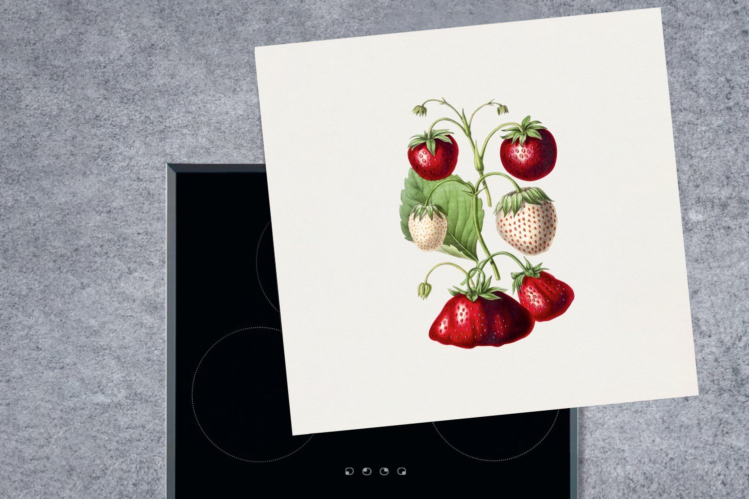 MuchoWow (1 cm, tlg), Herdblende-/Abdeckplatte 78x78 Vinyl, küche - Erdbeeren Pflanze Arbeitsplatte Ceranfeldabdeckung, für Frucht, -