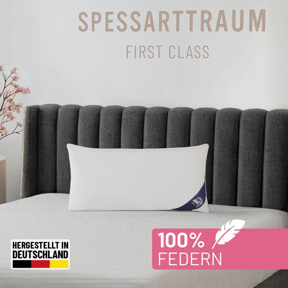 Federkissen FIRST CLASS, Kopfkissen 1-tlg. oder 2-tlg. 40x80 oder 80x80 cm