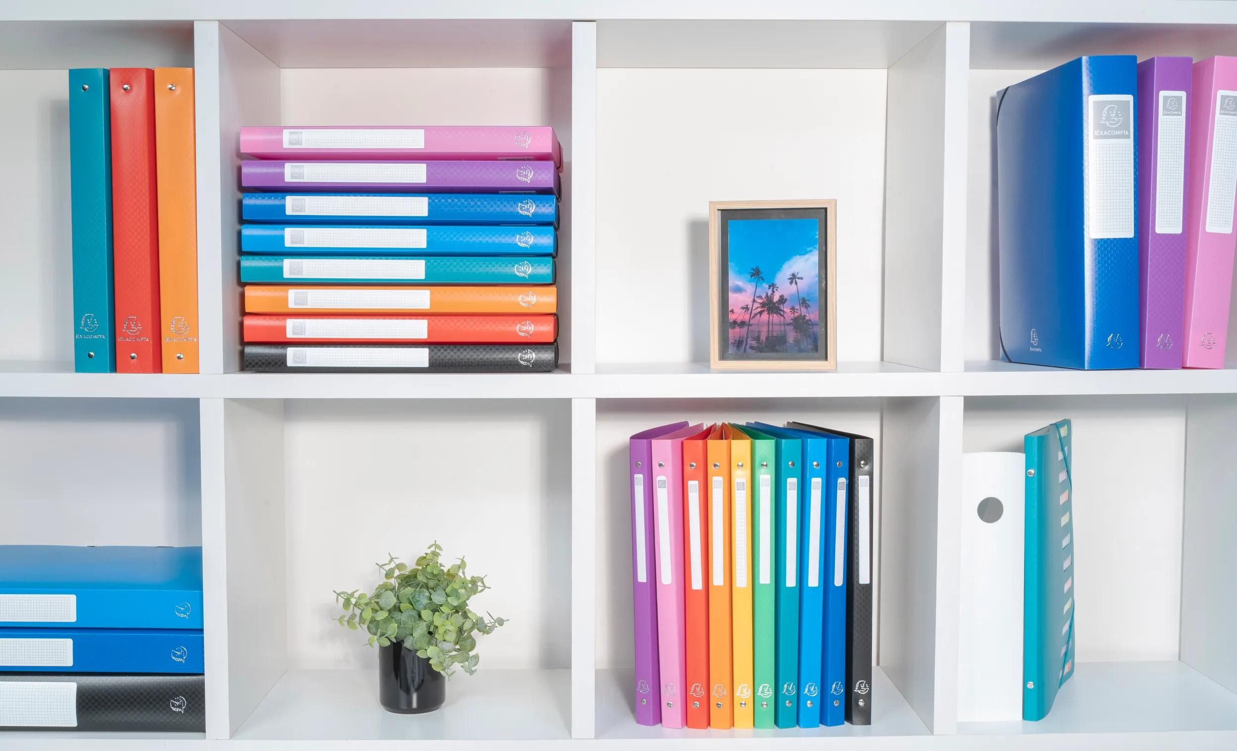 EXACOMPTA Ringbuchmappe 15x Ringbuch PP 700µ 2Ring 30mm Rücken 40mm A4 Überbreite Rosa 54694E, PP Ringbücher