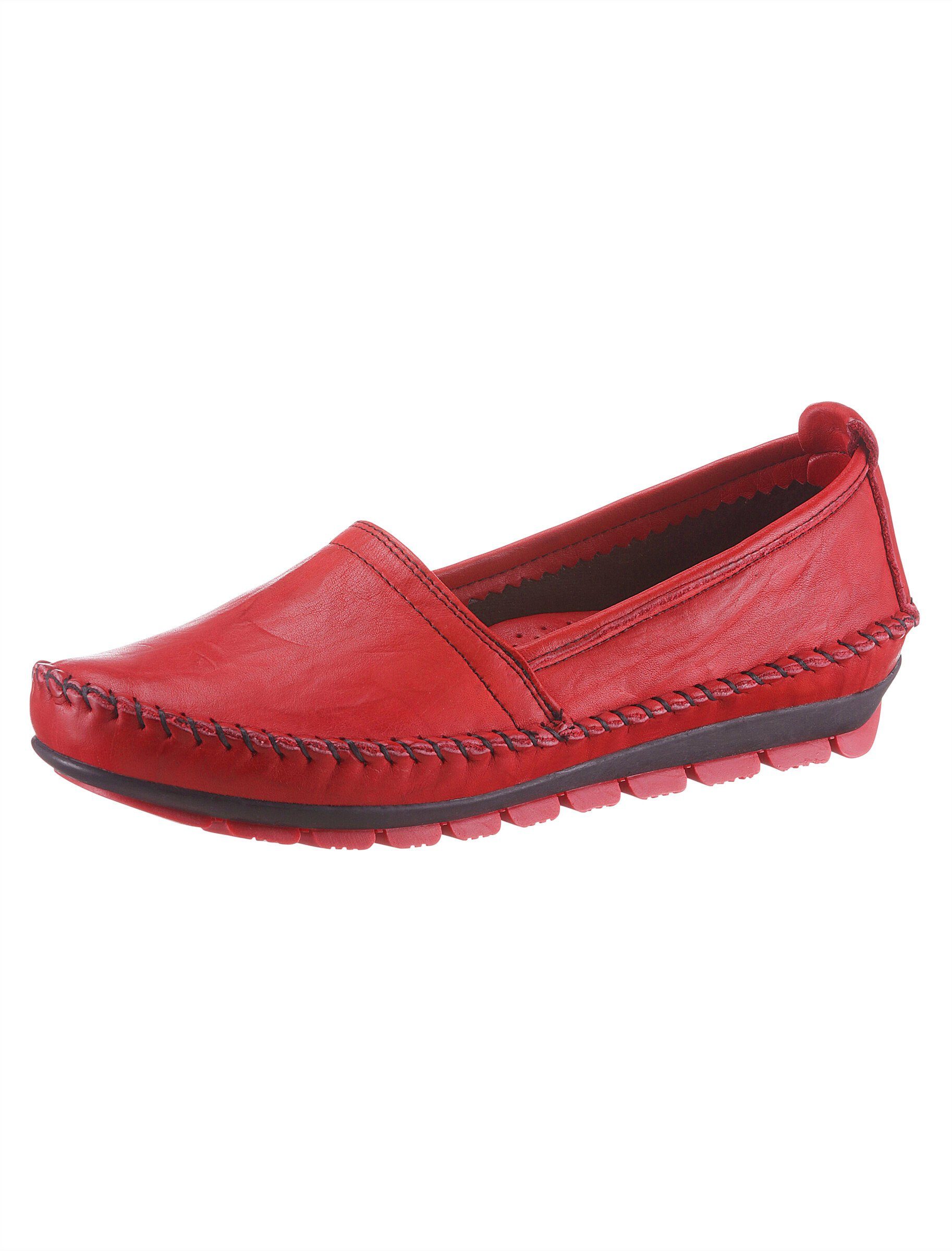 Slipper Gemini rot