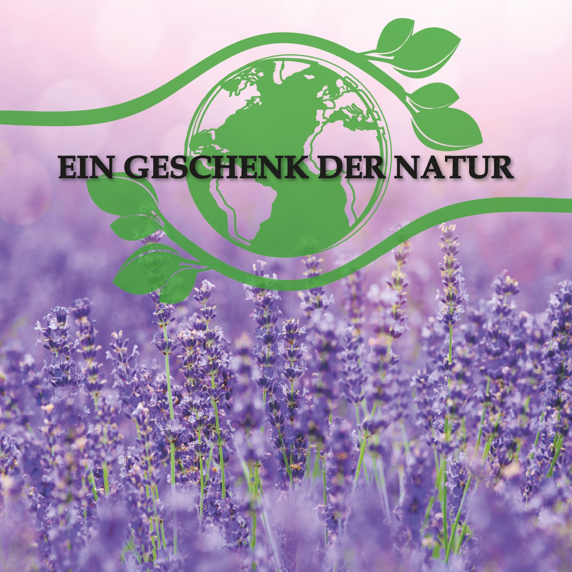 Bestlivings Duftbeutel 1L getrockneteter Lavendel, 100% naturbelassen, ohne künstliche Aromastoffe, duftintensiv – Bild 4 von 5