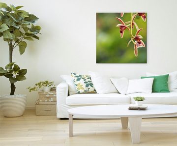 Sinus Art Leinwandbild Naturfotografie – Rote Orchidee auf grünem Hintergrund auf Leinwand