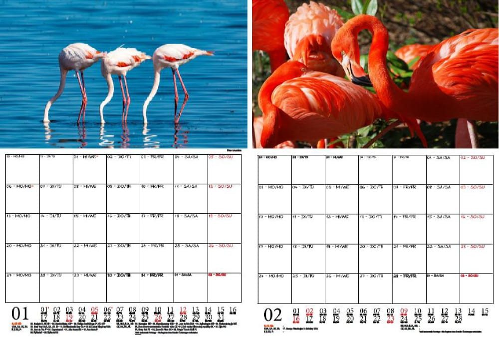 Thumbnail - Seelenzauber Wandkalender Flamingozauber Wand- Planer Kalender für 2025 DIN A4 Vögel
