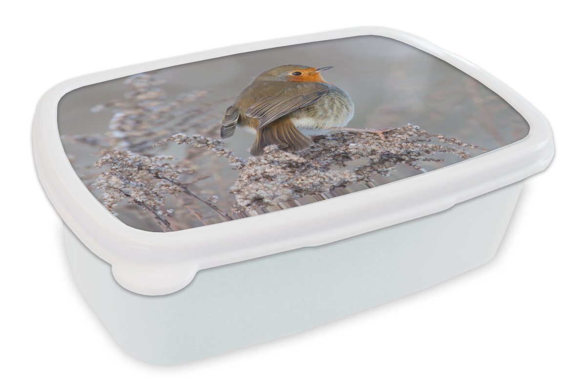MuchoWow Lunchbox Winter - Rotkehlchen - Vogel, Kunststoff, (2-tlg), Brotbox für Kinder und Erwachsene, Brotdose, für Jungs und Mädchen weiß | Lunchboxen
