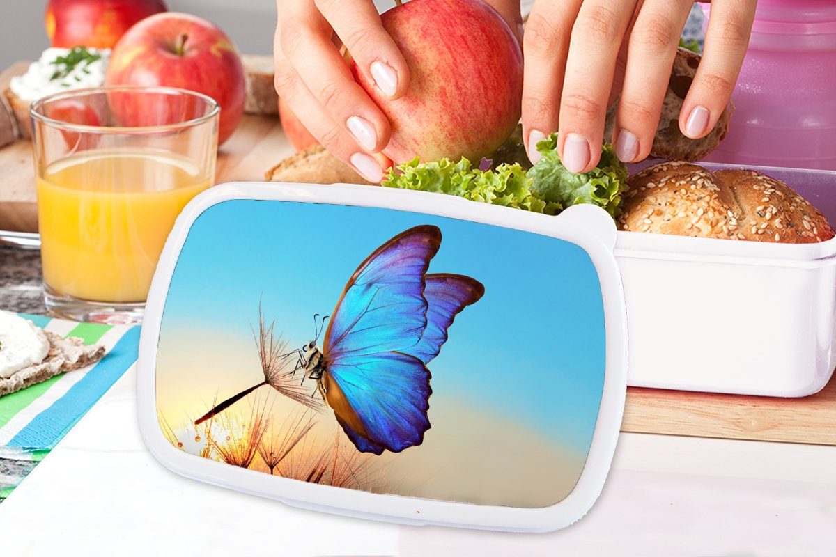 MuchoWow Lunchbox Schmetterling - Mädchen Löwenzahn Kinder - und Kunststoff, Brotdose, Brotbox für Blau, Erwachsene, für und weiß (2-tlg), Jungs