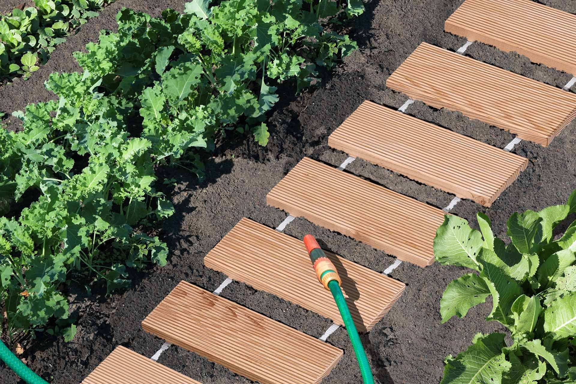 Mega-Holz Terrassendielen Rollweg Gartenweg Lärche 26x250 cm - 2er Set, 1.3 m², BxL: je 26x250 cm, 2.5 mm Stärke, langlebig und witterungsbeständig