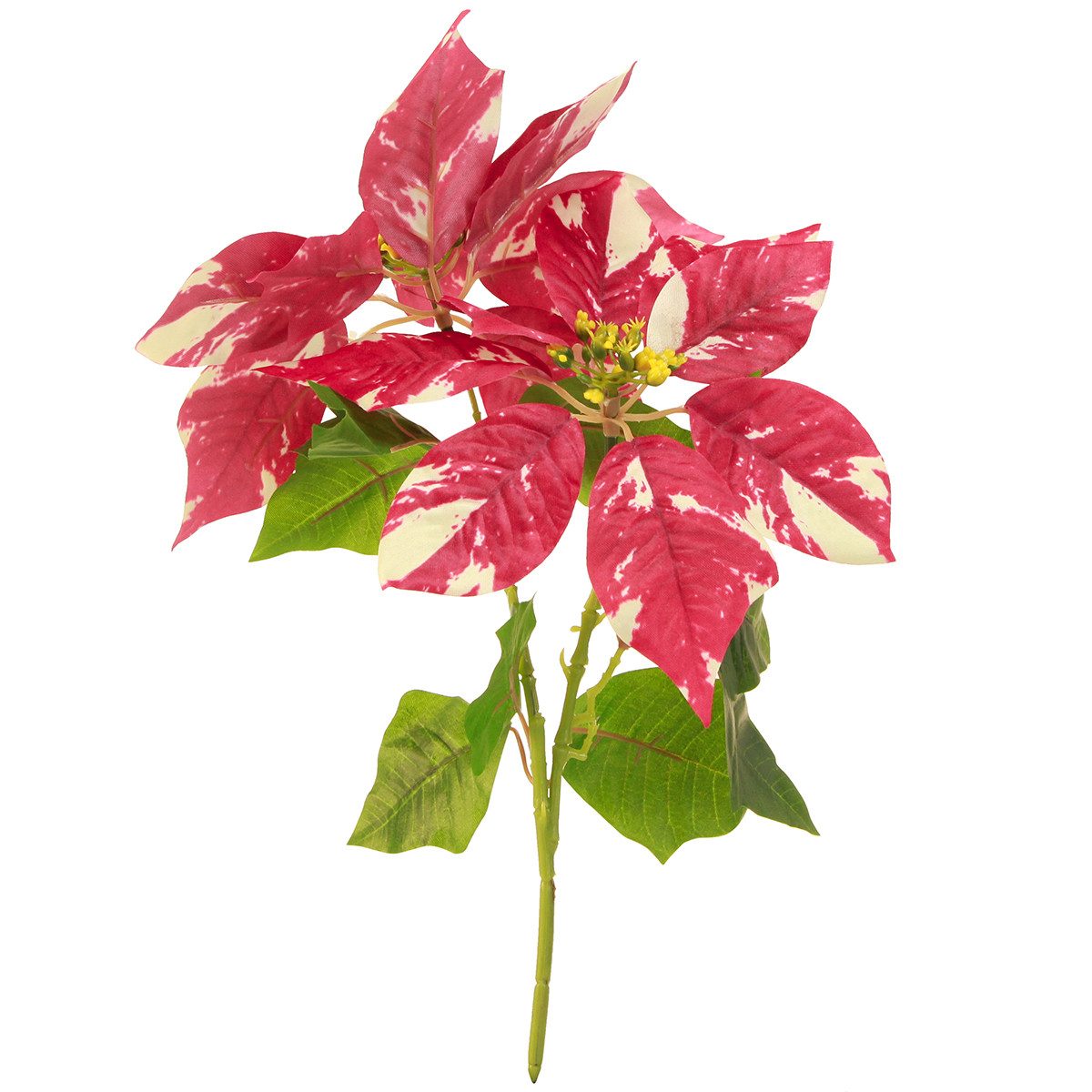 Winterliche Kunstpflanze Künstlicher Weihnachtsstern Rot Creme 35cm 6St Dekoration Advent