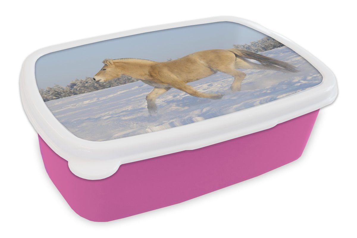 MuchoWow Lunchbox für Brotdose Erwachsene, Kinder, Kunststoff, Fjordpferd Kunststoff Schnee, im (2-tlg), Brotbox Trabendes Mädchen, Snackbox, rosa