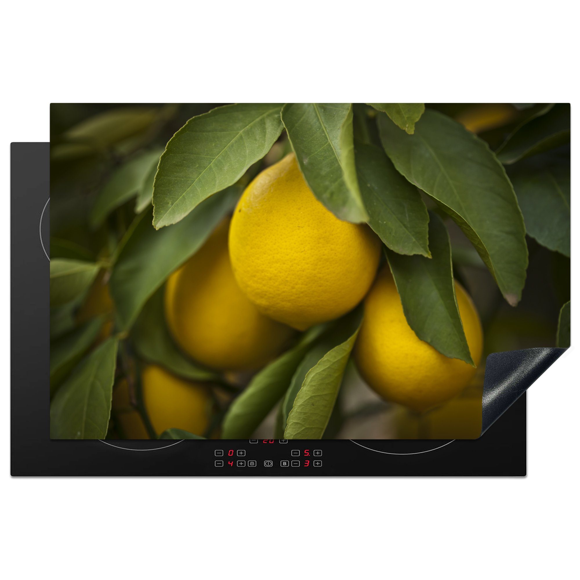 MuchoWow Herdblende-/Abdeckplatte In einem Baum hängende Zitronen, Vinyl, (1 tlg), 81x52 cm, Induktionskochfeld Schutz für die küche, Ceranfeldabdeckung