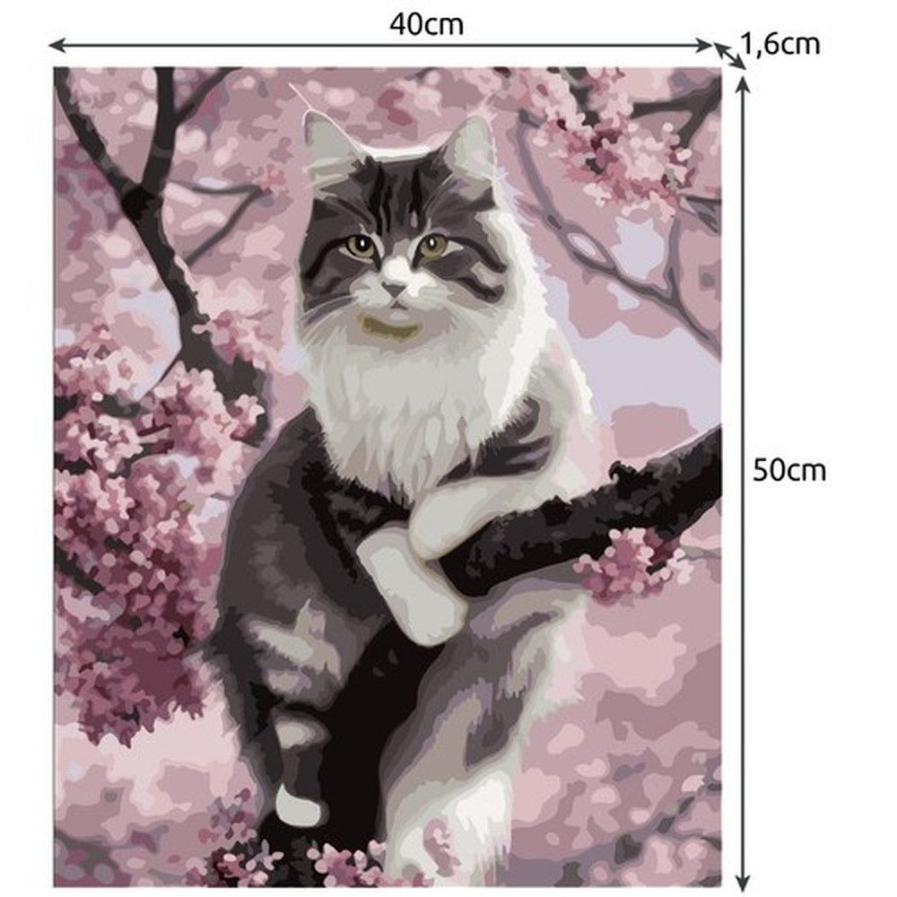 MAALEO Malen nach Zahlen Leinwand Malset Katze (Spar-Set, Nummerierung der Felder), Entspannung, für kreative Freizeit oder gemeinsames Malen