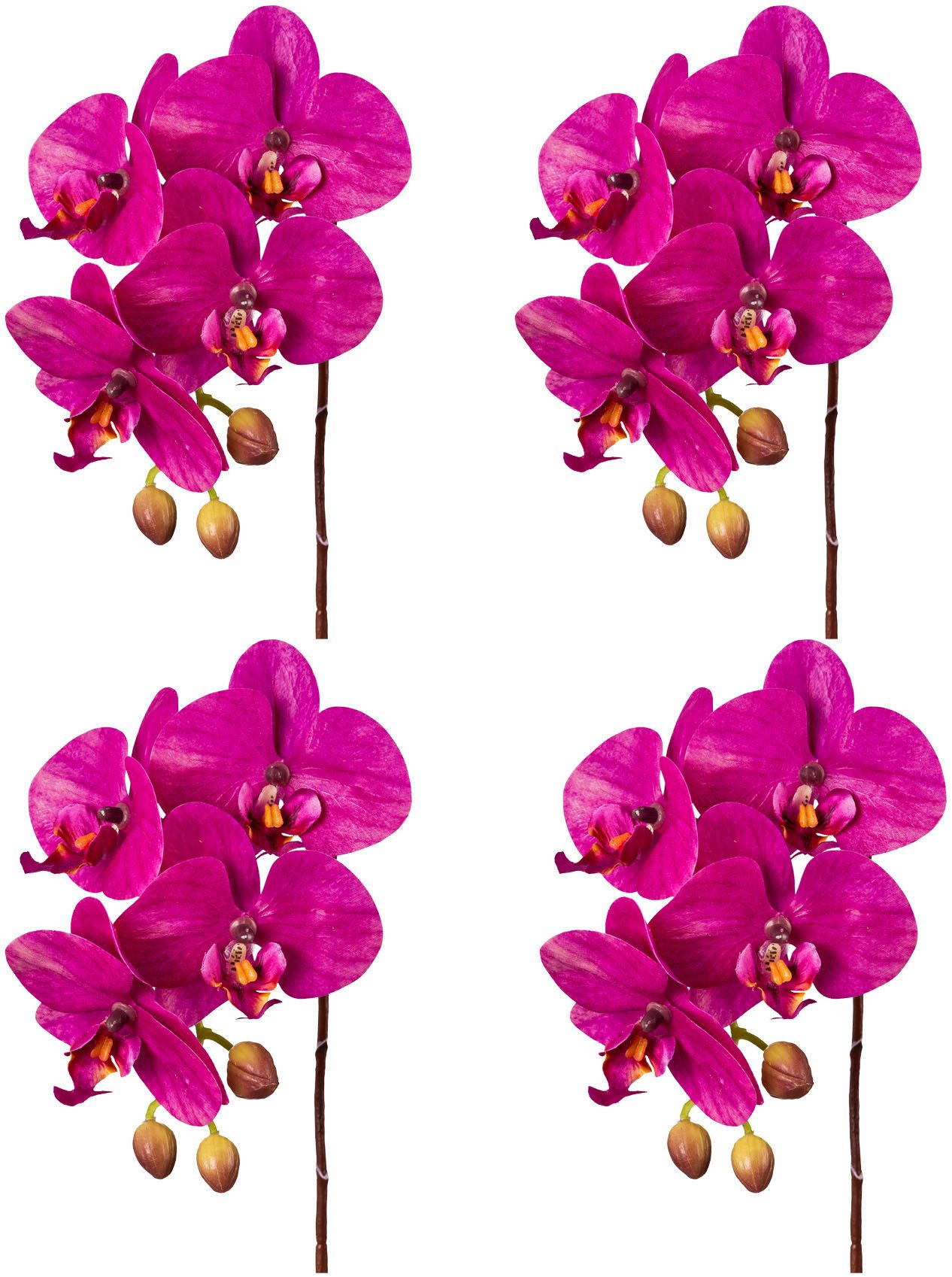 Kunstorchidee Orchidee Phalaenopsis Orchidee, Creativ green, Höhe 44 cm, mi günstig online kaufen