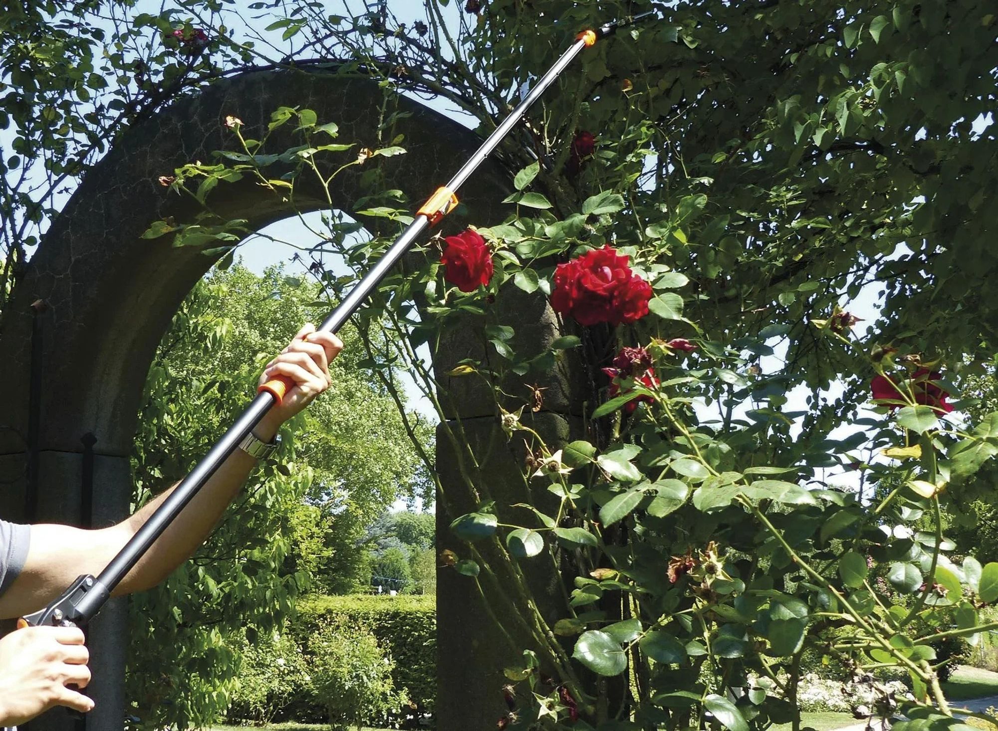 Westfalia Werkzeug Scheren-Set Rosenscheren