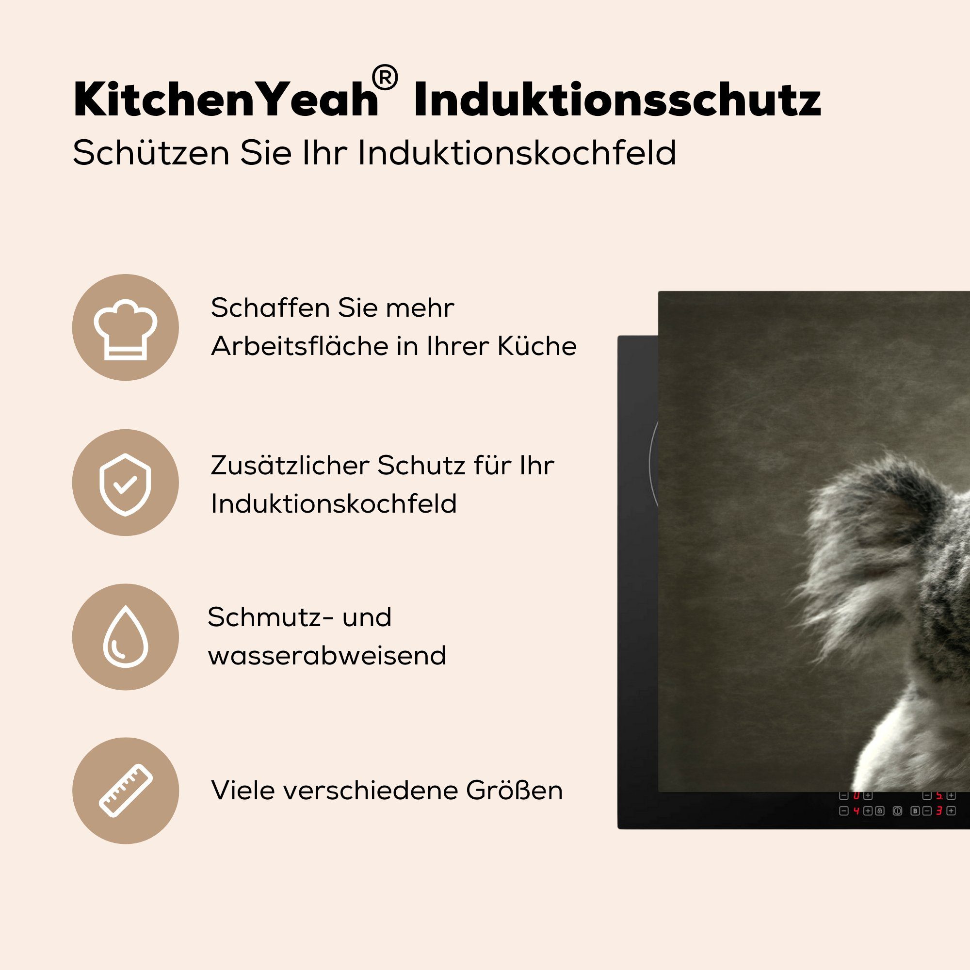 MuchoWow Herdblende-/Abdeckplatte Koala Tiere die cm, Ceranfeldabdeckung Kontur, - für küche, Induktionskochfeld Schutz - 81x52 Vinyl, tlg), (1