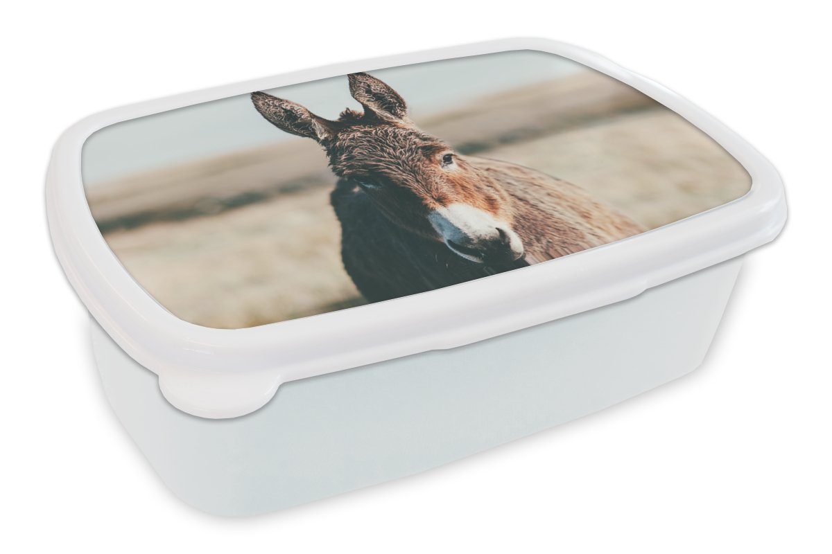 MuchoWow Lunchbox Esel - Porträt - Tier, Kunststoff, (2-tlg), Brotbox für Kinder und Erwachsene, Brotdose, für Jungs und Mädchen weiß