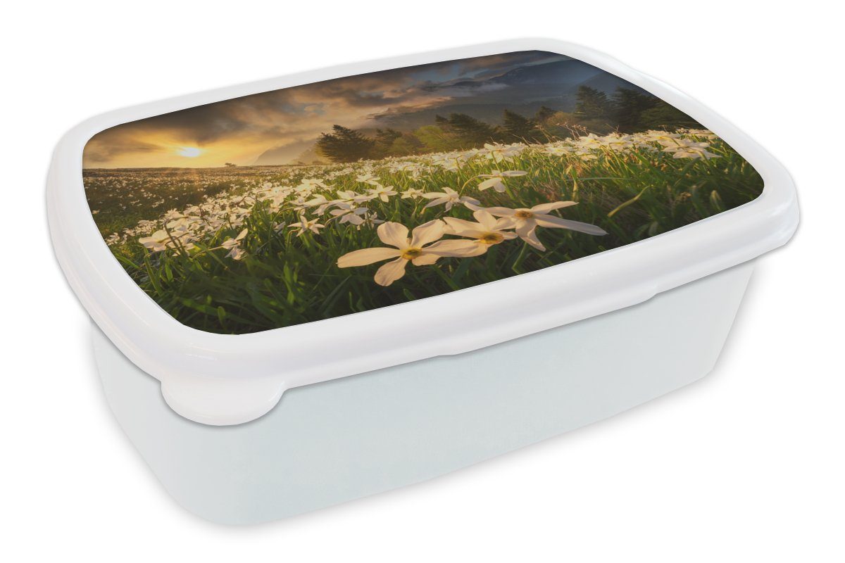 MuchoWow Lunchbox Blumenfeld - Hügel - - Kunststoff, - - und Natur Brotdose, Erwachsene, für (2-tlg), Kinder Hügel, Sonnenuntergang für Mädchen Weiß und Brotbox Berg Jungs 