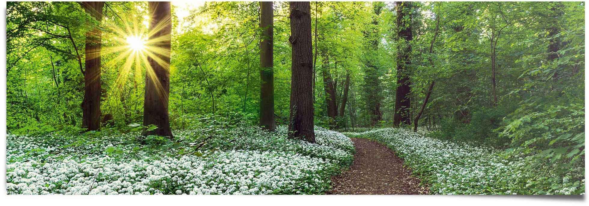 Reinders! Poster »Waldlichtung Frühling«, (1 Stück)-Otto