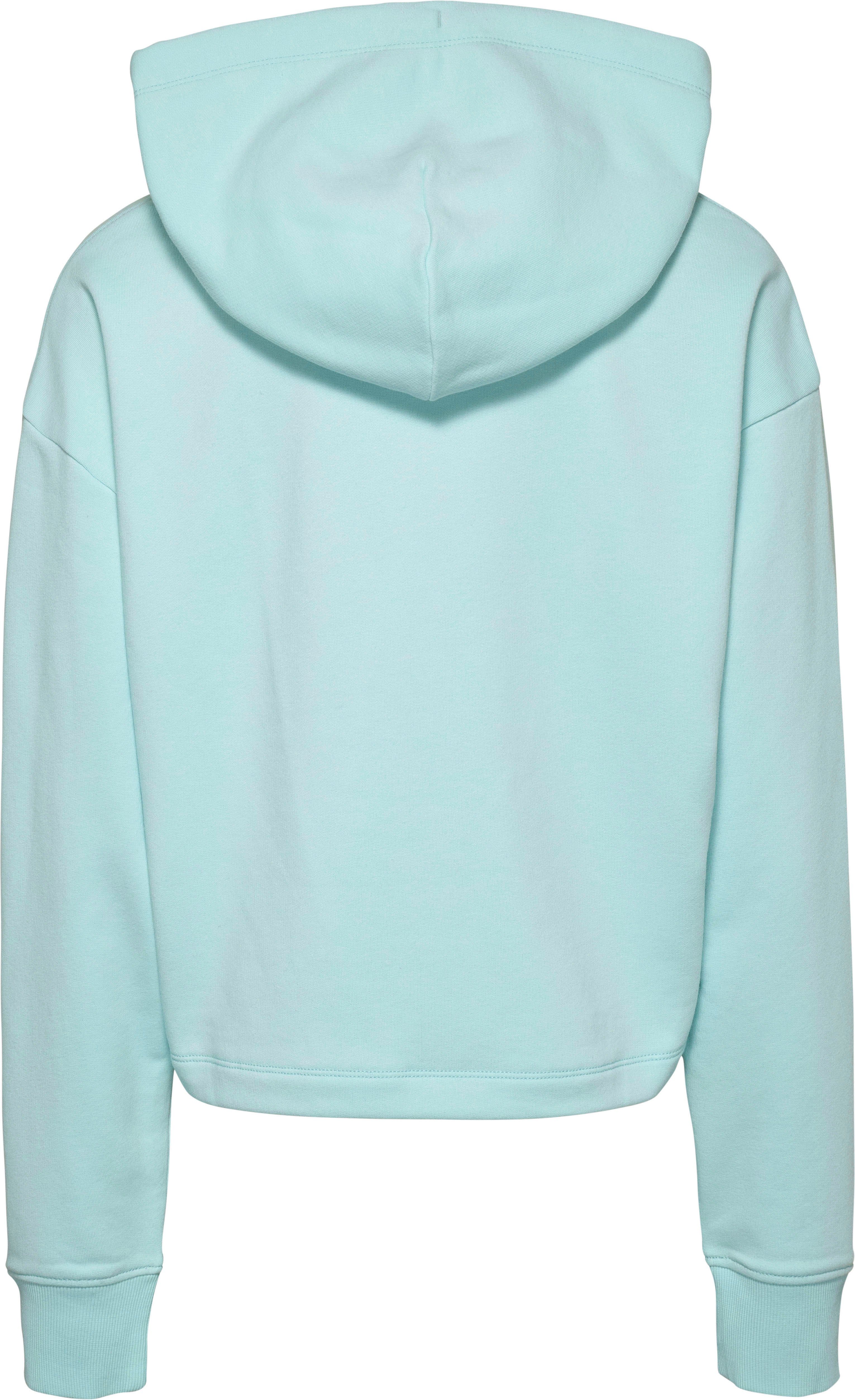 mit Jeans Tommy Jeans 2 LOGO Tommy RLX Logo HOODIE ESSENTIAL TJW Kapuzensweatshirt Aqua-Coast