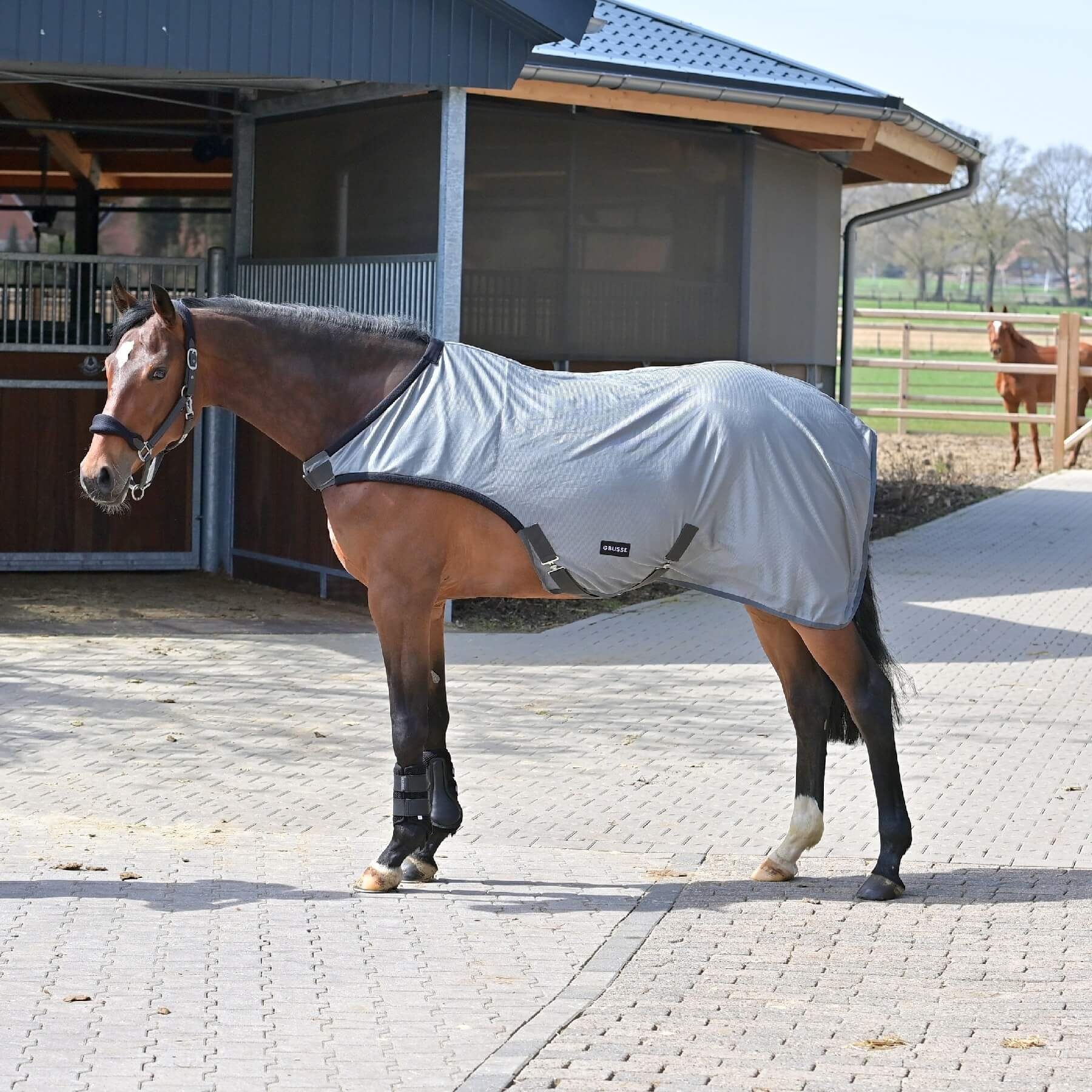 BUSSE Pferde-Fliegendecke BUSSE Führanlagendecke FLY COMFORT