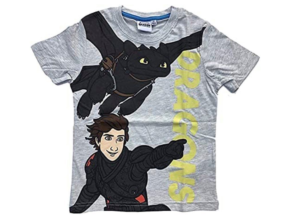 Dragons T-Shirt Dragons "Drachenzähmen leicht gemacht" günstig online kaufen