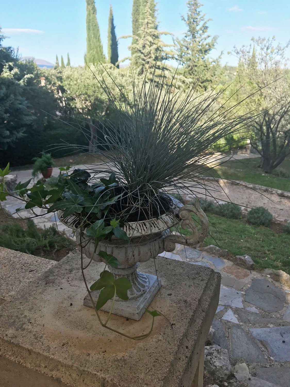 Aubaho Dekoobjekt Nostalgie Amphore Pflanzamphore Pflanzkübel Blumentopf Blumenkübel Gus