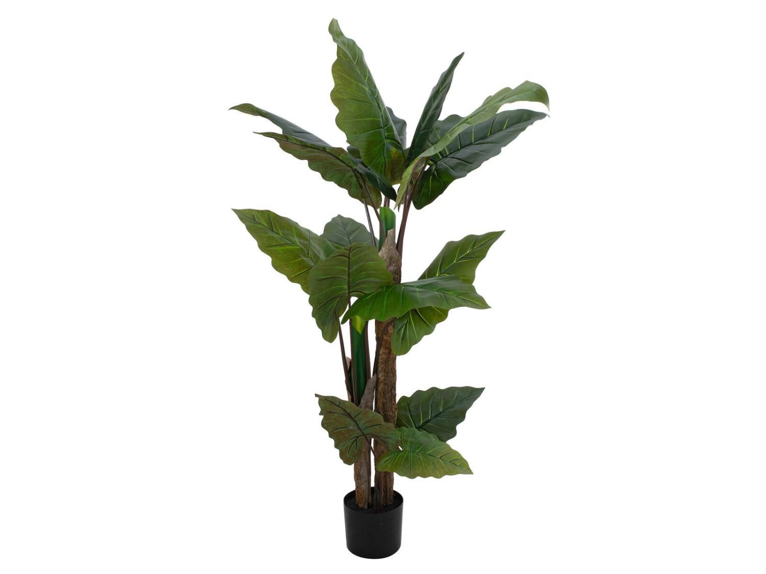 Kunstpflanze Deko Pflanze Alocasia Calidora PATRICIUS, grün, 140cm Alocasia (Alocasia calidora), artplants, Höhe 140 cm