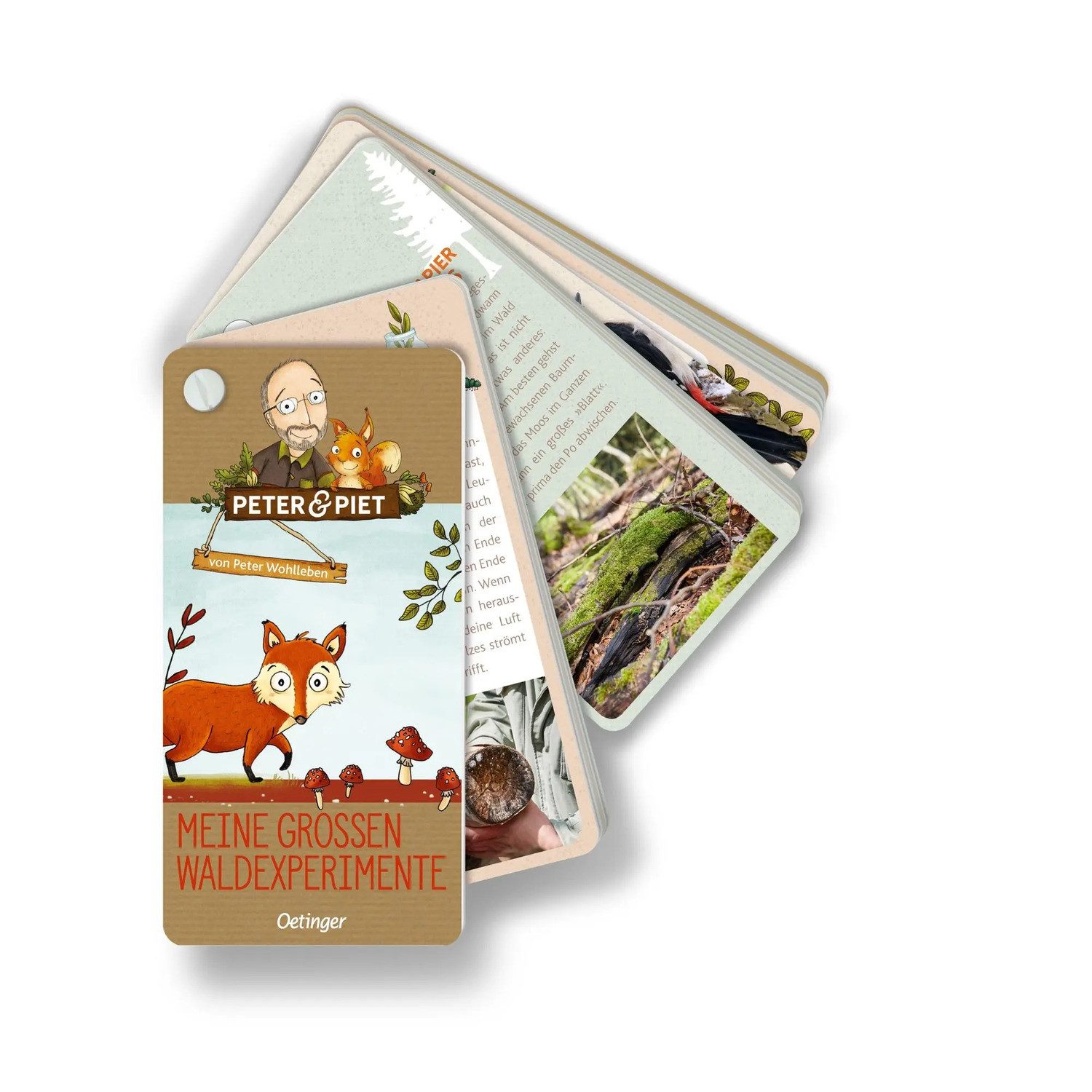 Oetinger Spiel Peter & Piet Meine großen Waldexperimente