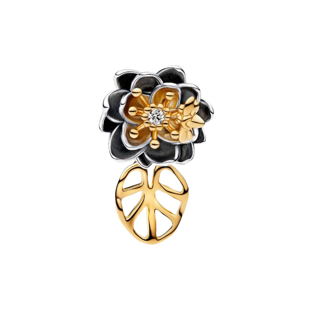 Charm Blume 764326C01