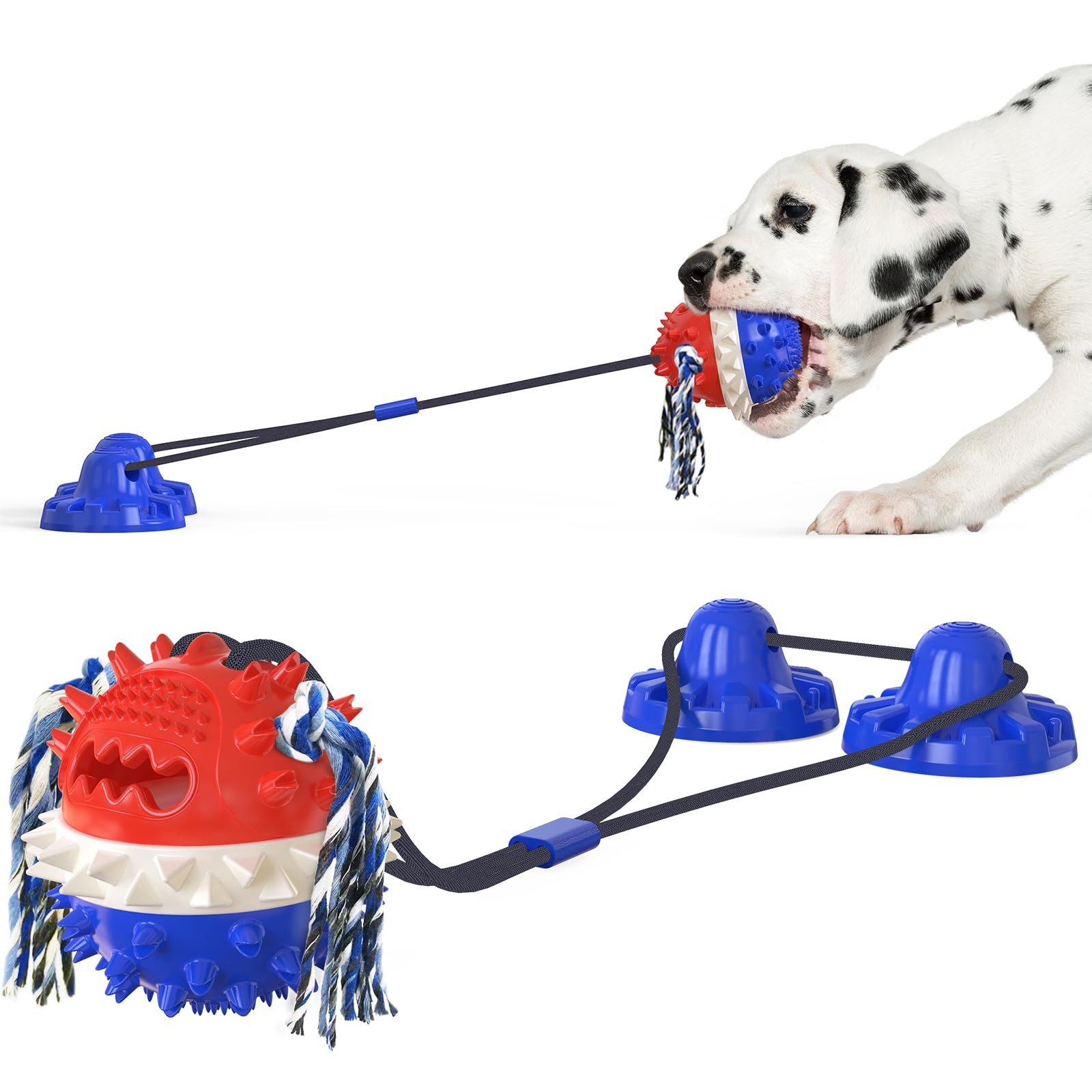 Tiere Futterball Leistungsstarkes Hundespielzeug zum Zahnen mit Saugnapf, Für aggressive Kauer, Geräuschspielzeug (rot und blau)