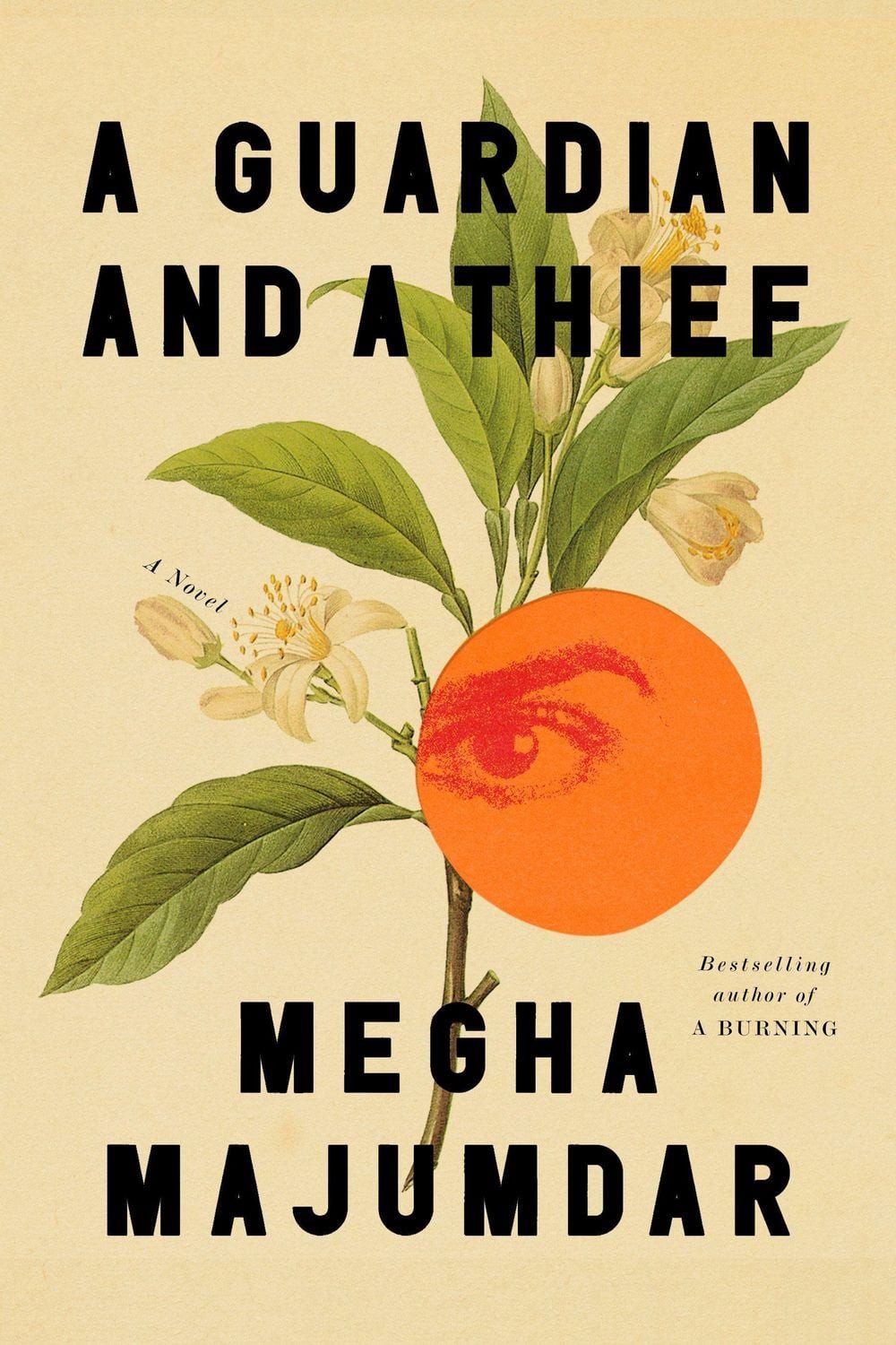 A Guardian and a Thief / Megha Majumdar, A Novel