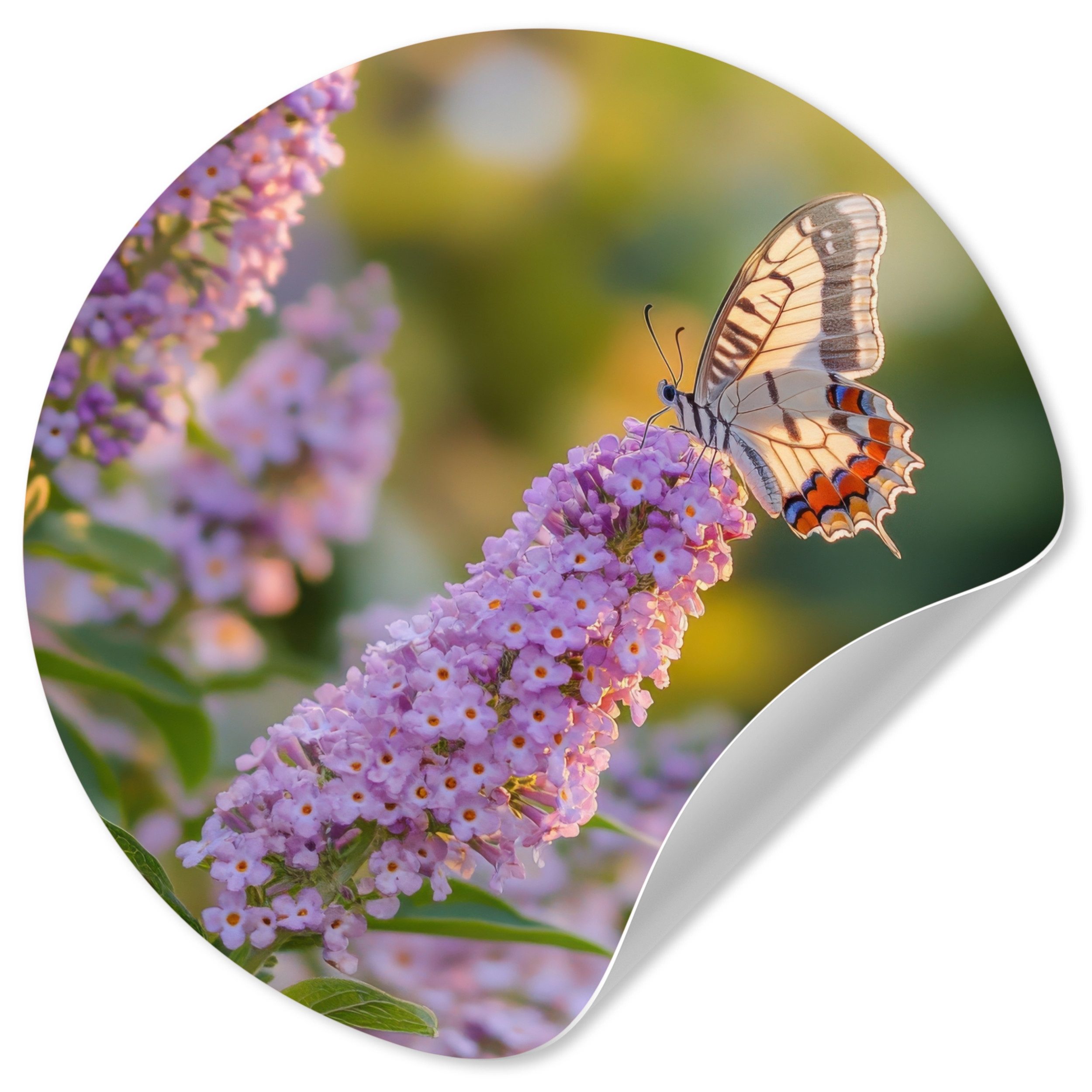 MuchoWow Wandsticker Verschnörkelt - Schmetterling - Lila - Blumen (1 St), Wandtattoo Selbstklebend, Wohnzimmer Deko Aufkleber, 30x30 cm