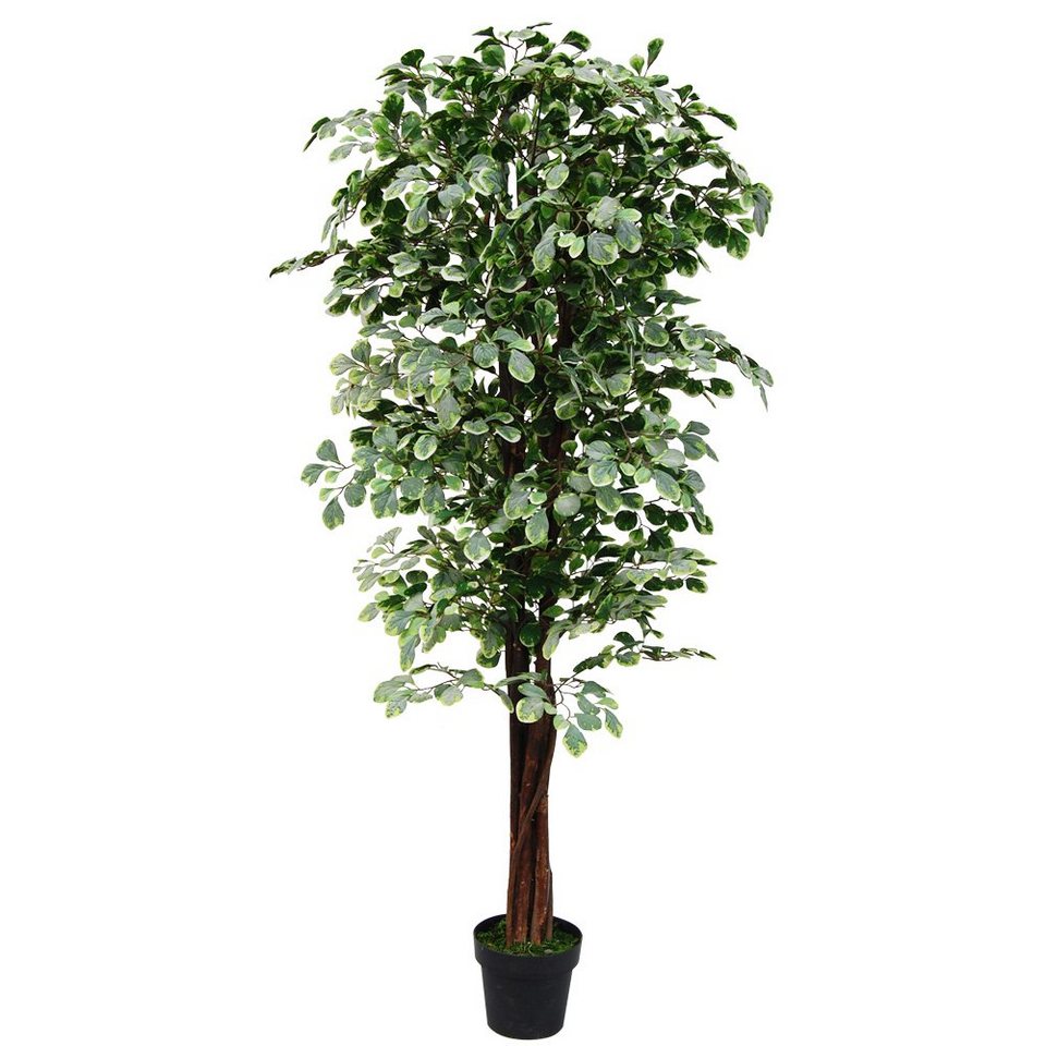 Kunstpflanze Ficus Benjamin Kunstpflanze Künstliche Pflanze mit Echtholz  180cm Decovego, Decovego