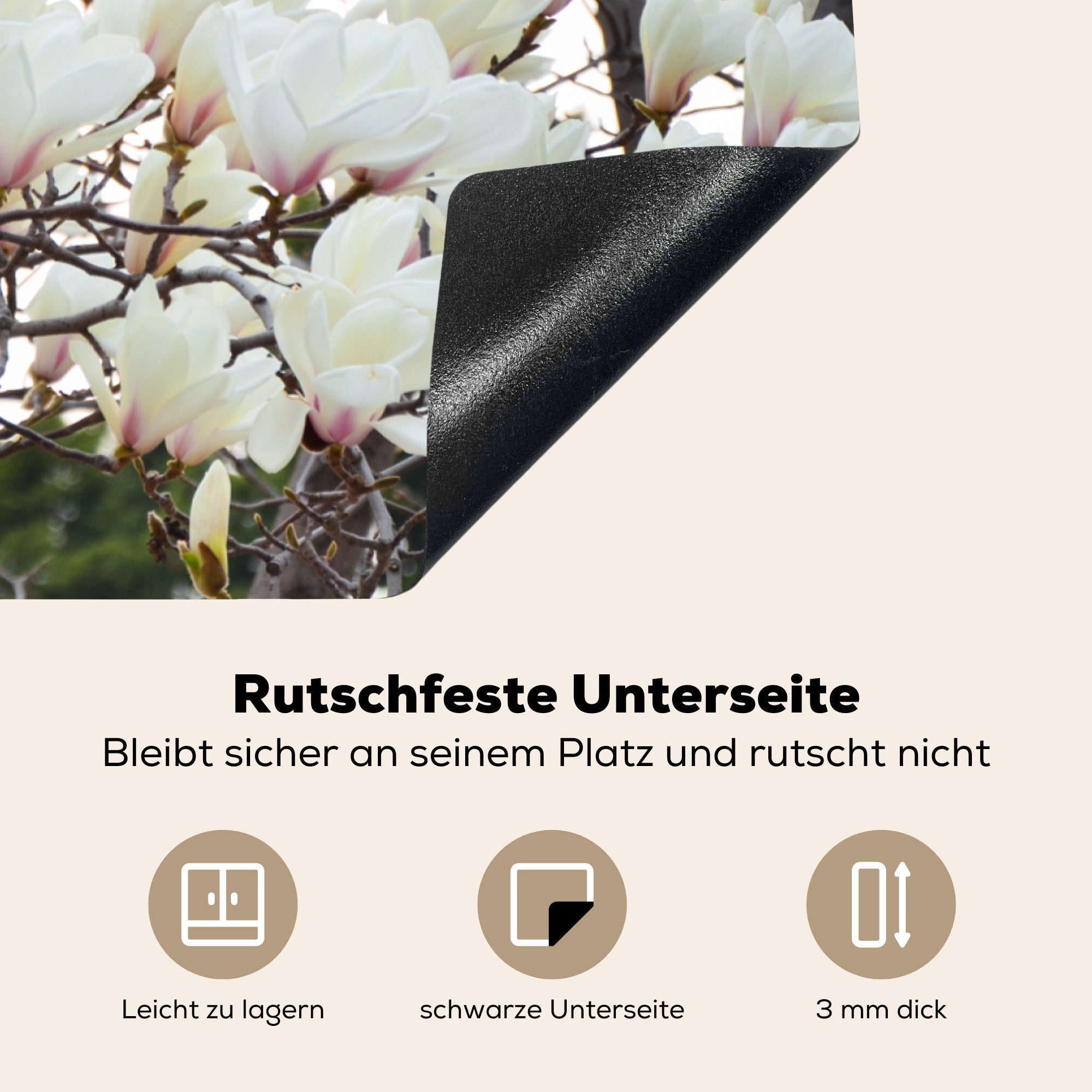 Vinyl, Induktionskochfeld in die Weiße Schutz für küche, Magnolienblüten (1 cm, tlg), voller Blüte, Herdblende-/Abdeckplatte MuchoWow Ceranfeldabdeckung 81x52
