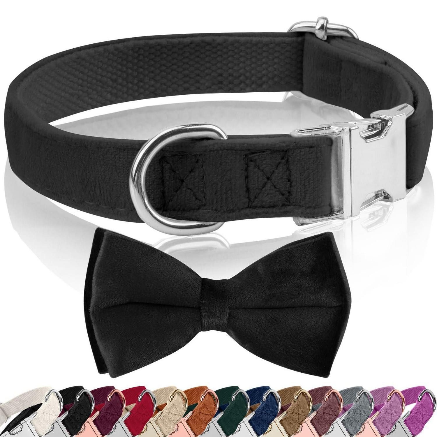 LuxusKollektion Hunde-Halsband Hundehalsband Samt mit Fliege S Eisen