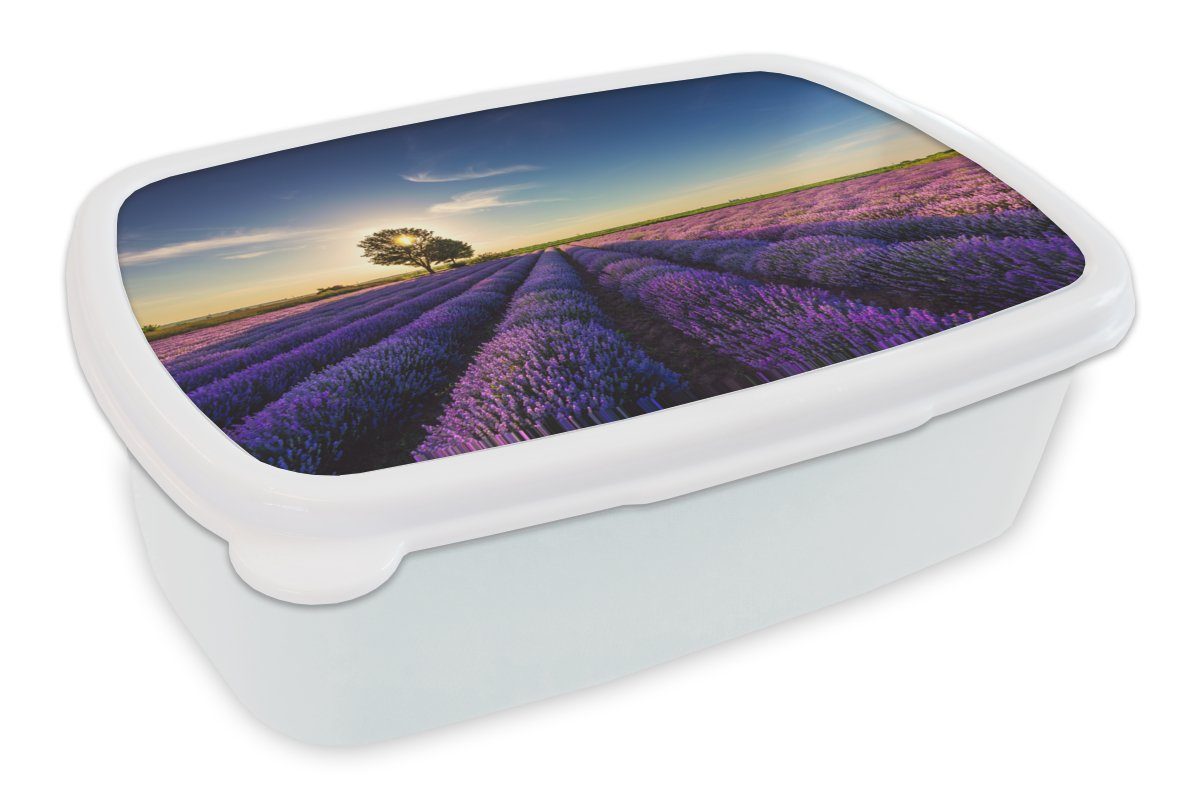 Lavendel Kinder (2-tlg), für weiß und Jungs - - Lunchbox Kunststoff, Brotdose, MuchoWow für Baum Lila, Blumen Mädchen und Erwachsene, Brotbox Sonne - -