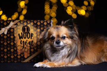 Qchefs Futterbehälter Glückskiste Dose Hund Geschenk für Hunde Besitzer mit Natur Zahnpflege, Edelstahl- recycelbar- lebensmittelecht 23 x 15 cm