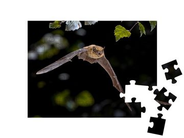 puzzleYOU Puzzle Pipistrelle Fledermaus im Flug, 48 Puzzleteile, puzzleYOU-Kollektionen Fledermäuse