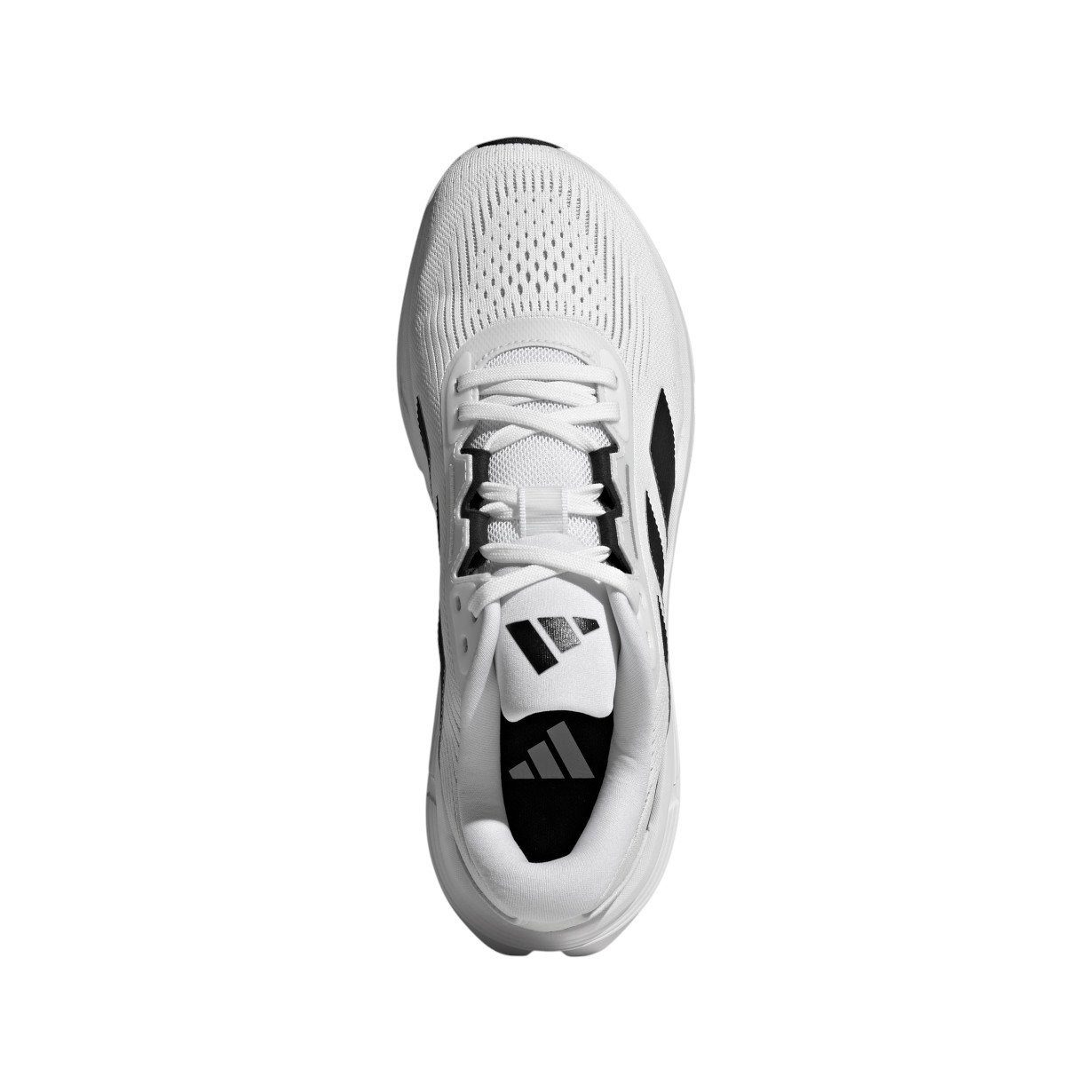 adidas Performance Questar 3 weiss/schwarz Herren günstig online kaufen