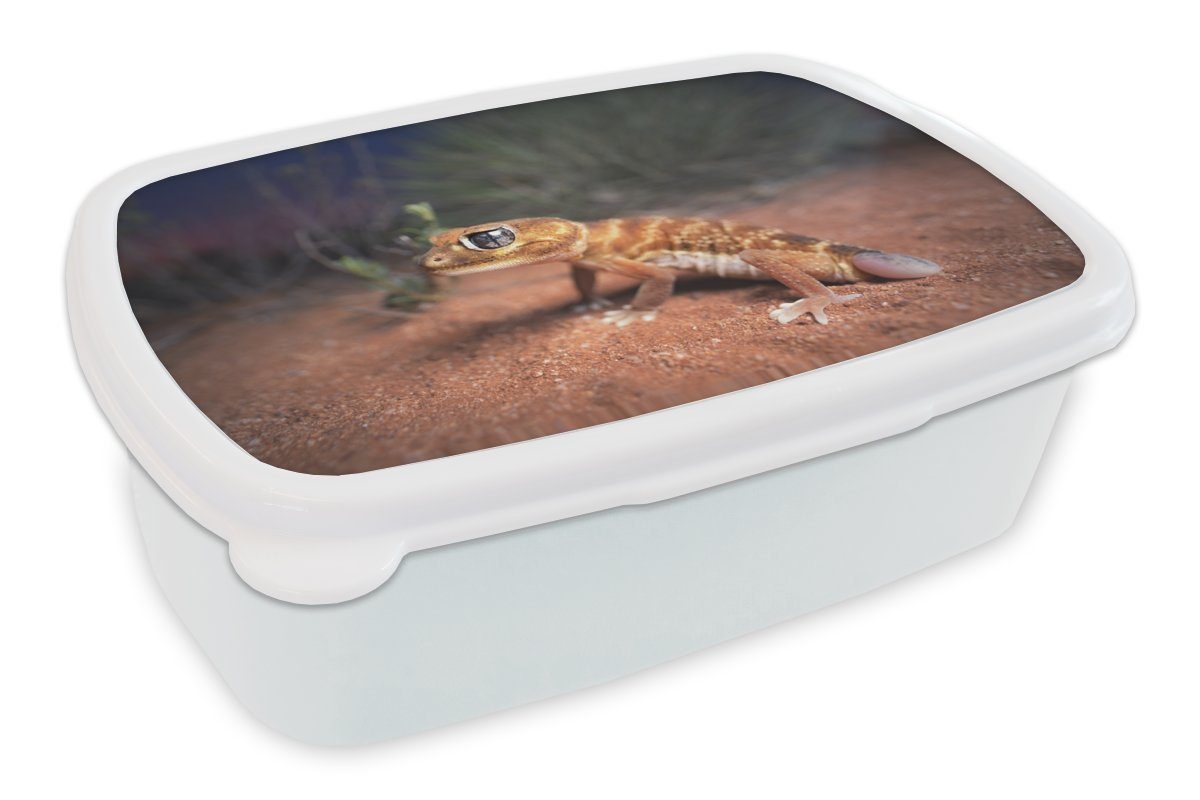 MuchoWow Lunchbox Jung - Gecko - Sand, Kunststoff, (2-tlg), Brotbox für Kinder und Erwachsene, Brotdose, für Jungs und Mädchen weiß