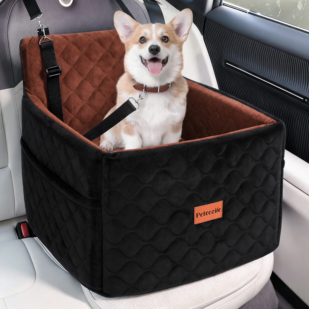 Insma Hunde-Autositz Autositz und Bett für Hunde, mit erhöhtem Rand, Für Hunde bis 15 kg von Insma