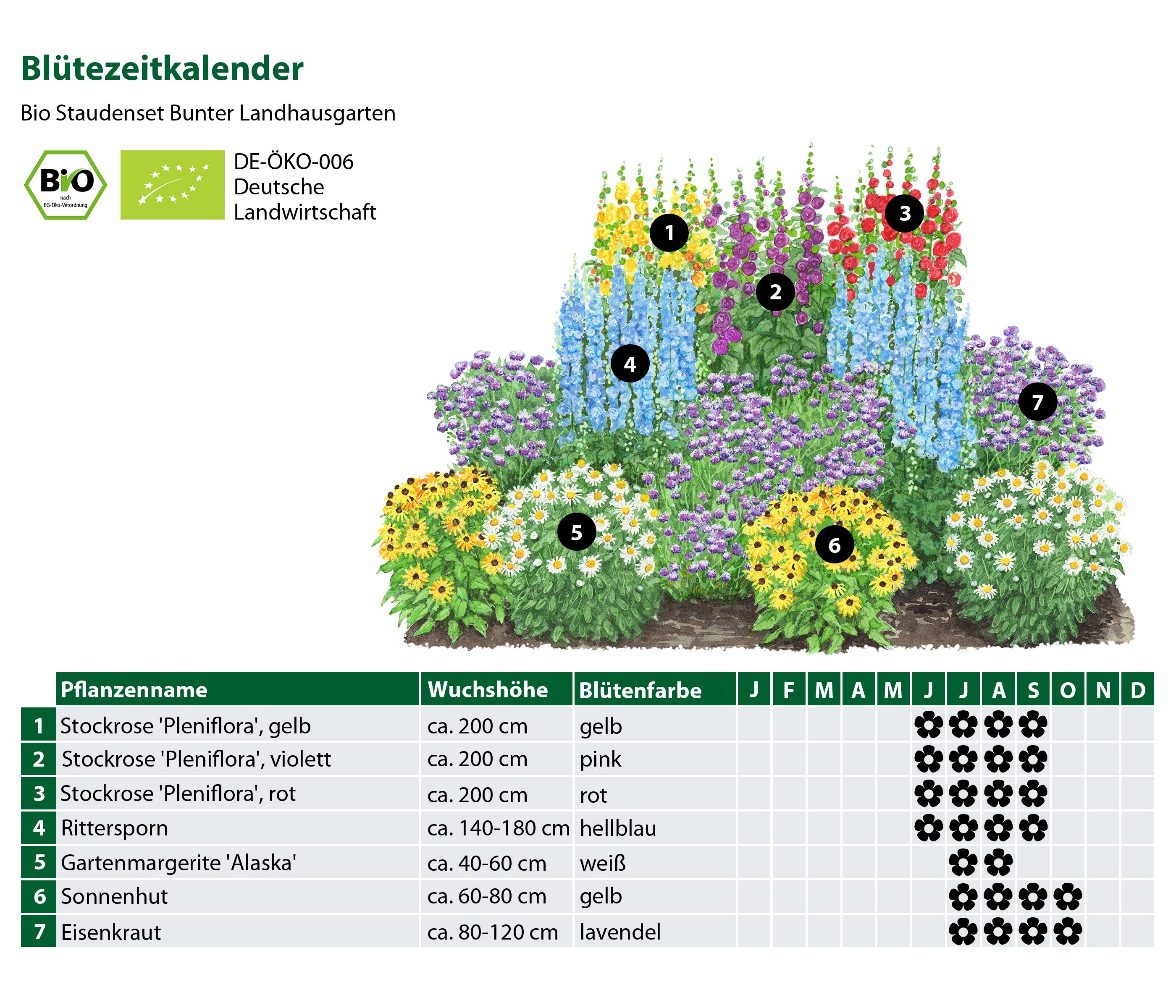 Dehner Staude Bio Stauden-Set Bunter Landhausgarten, 12 Stauden, je 5-20 cm, für insektenfreundliche, sonnige Blumenbeete