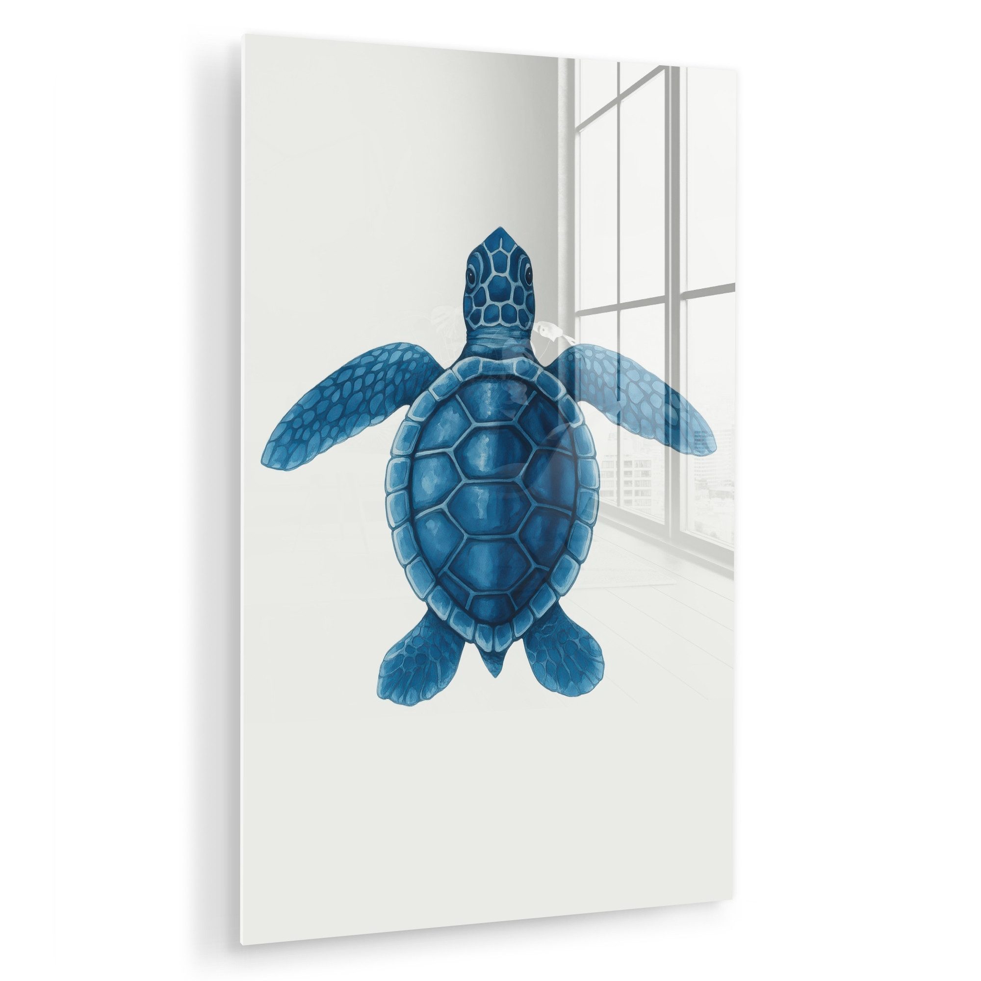 MuchoWow Acrylglasbild Schildkröte - Blau - Schild, Inkl. Aufhängung, Dekoration Wohnzimmer auf Glas, Wand Bilder Deko XXL, 80x120 cm